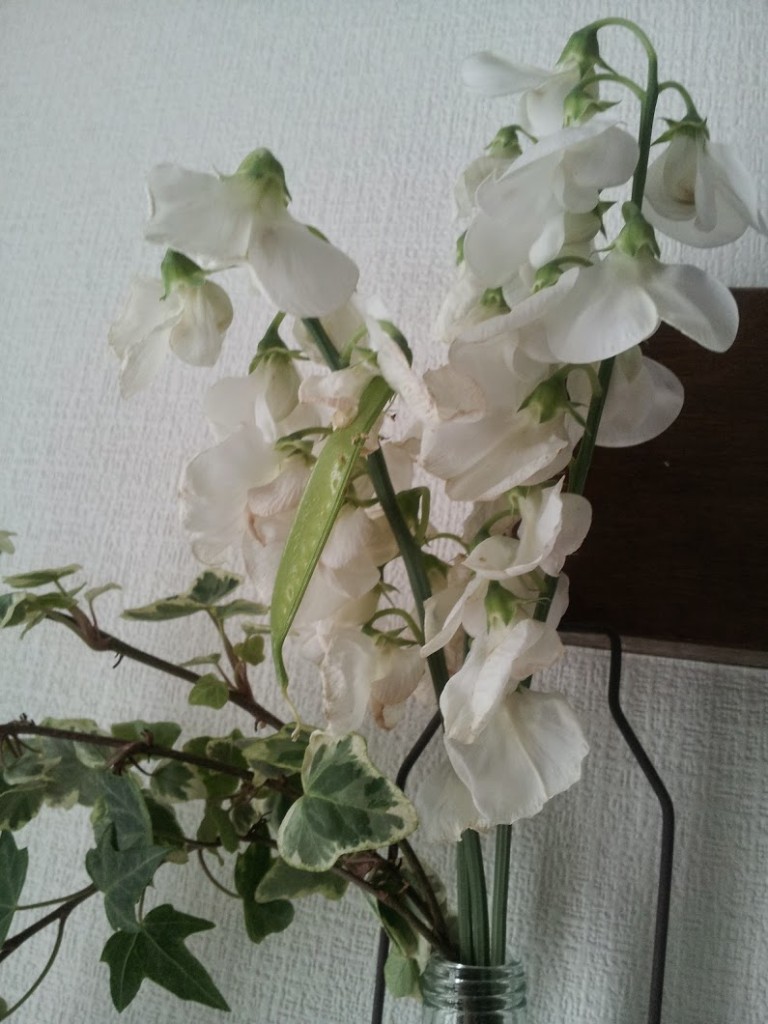 白いスイートピー | 東京・吉祥寺のフラワーセラピーを取り入れたお花屋さん | Heartfelt Flowers 花心