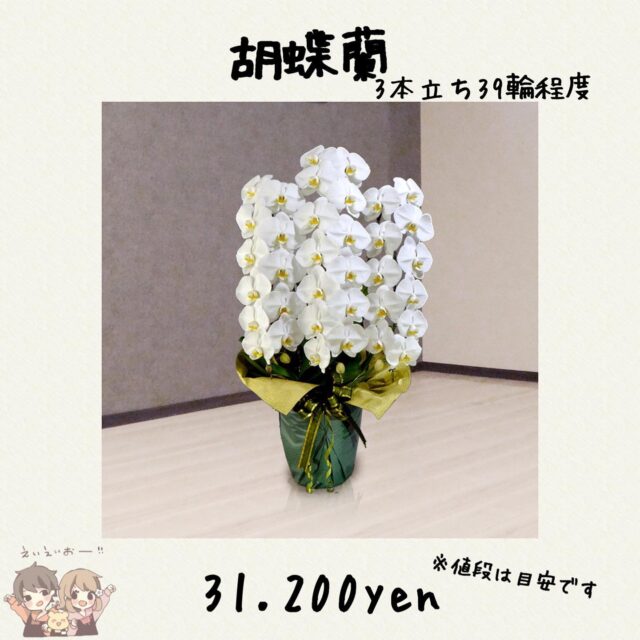 花束の大きさや値段を教えます 花屋が教える花束の相場とは 東京 吉祥寺のフラワーセラピーを取り入れたお花屋さん Heartfelt Flowers 花心 花束の大きさや値段を教えます 花屋が教える花束の相場とは 東京 吉祥寺のフラワーセラピーを取り入れたお花屋さん Heartfelt Flowers 花心