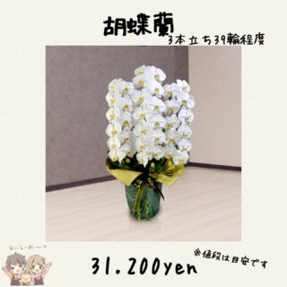 芍薬の切り花を咲かせるコツ 花屋が教える花の管理方法と花選びのポイント 東京 吉祥寺のフラワーセラピーを取り入れたお花屋さん Heartfelt Flowers 花心