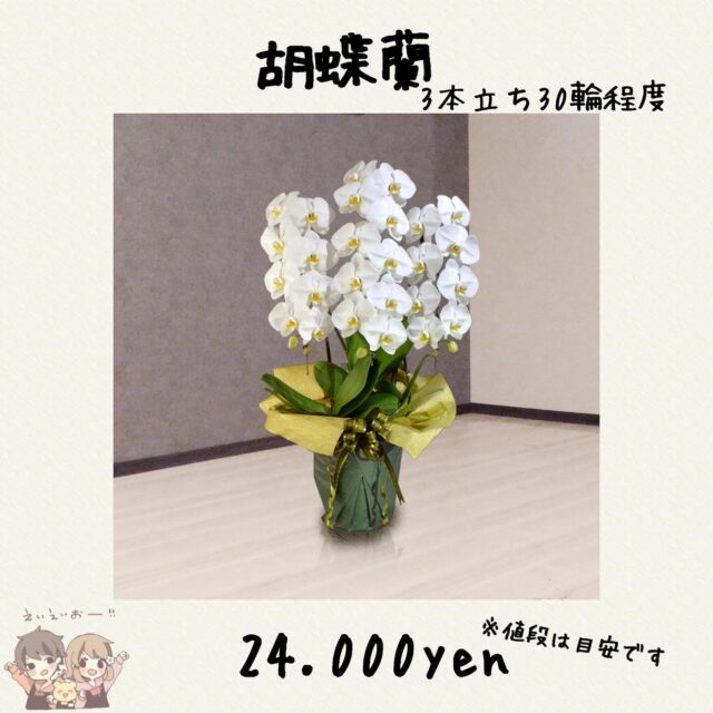 花束の大きさや値段を教えます 花屋が教える花束の相場とは 東京 吉祥寺のフラワーセラピーを取り入れたお花屋さん Heartfelt Flowers 花心