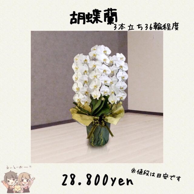花束の大きさや値段を教えます 花屋が教える花束の相場とは 東京 吉祥寺のフラワーセラピーを取り入れたお花屋さん Heartfelt Flowers 花心