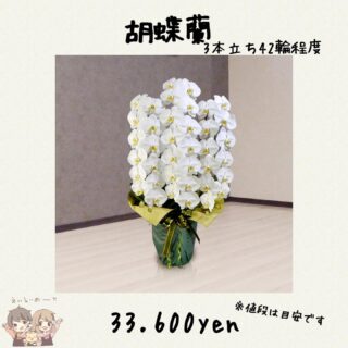 花束とは 花屋が値段やサイズまで徹底的に解説していきます 東京 吉祥寺のフラワーセラピーを取り入れたお花屋さん Heartfelt Flowers 花心