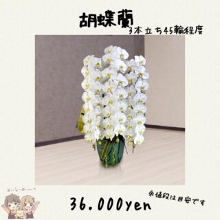 花束の大きさや値段を教えます 花屋が教える花束の相場とは 東京 吉祥寺のフラワーセラピーを取り入れたお花屋さん Heartfelt Flowers 花心